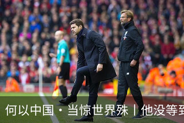 何以中国·当惊世界殊丨他没等到的高峡平湖，我们替他看见了