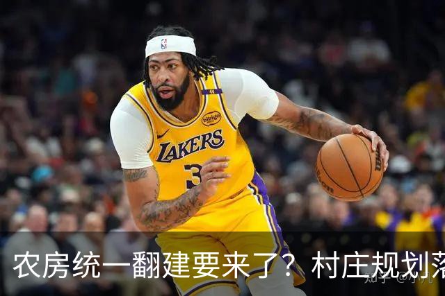 农房统一翻建要来了?村庄规划落地,这些地方下半年优先动工