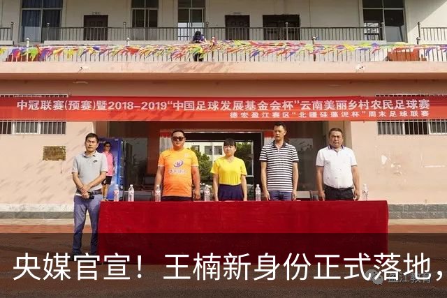 央媒官宣！王楠新身份正式落地，资产查封、被调查传闻，早有真相