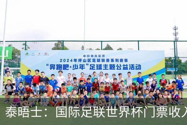 泰晤士：国际足联世界杯门票收入达50亿美元，是上届5倍多